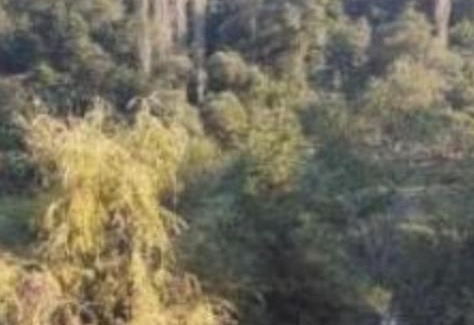 Goygol Apartment | Çay qırağında ev