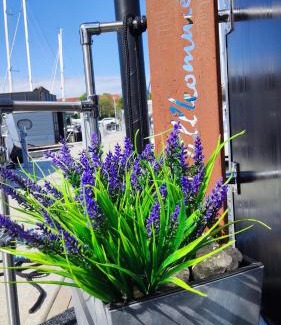 Knieper Nord Boat Rental | ÖKO Budget Hausboot Retreat Morgenrot