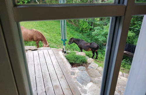 Vrchlabi Cottage | Útulný byt v přízemí rodinného domu.