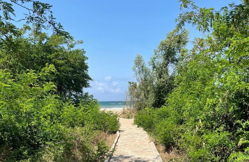 Fatsa Apartment | ÜNYE KAVAKLAR GÜNLÜK EV