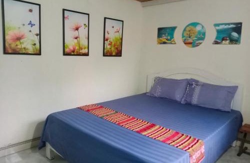 Thanh Chuong Cabin | Đảo Chè Thanh Chương - Homestay Gió Lào