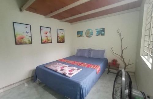 Thanh Chuong Cabin | Đảo Chè Thanh Chương - Homestay Gió Lào