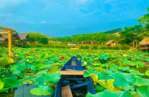 Bo Trach Cabin | Đồi Dẻ Eco HomeStay