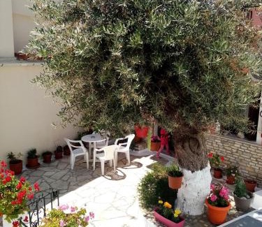 Pythagorion Apartment | Αrgo Studios