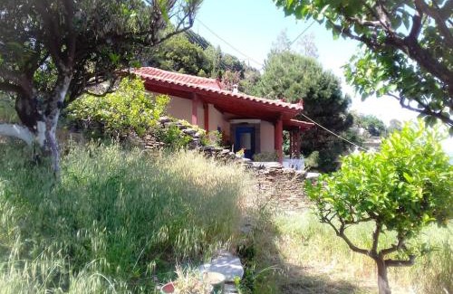 Andros Town House | Παραδοσιακό σπίτι με πανοραμική θέα