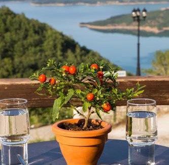 Lake Plastiras House | Χρυσοπελεια - Chrisopeleia Lake View