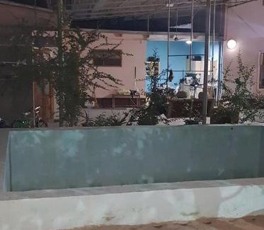 Uzbekistan House | Алмалык