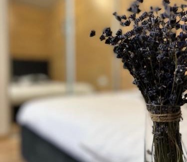 Zalissya Apartment | Апартаменти затишні в центрі Чорткова