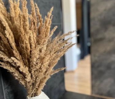 Zalissya Apartment | Апартаменти затишні в центрі Чорткова