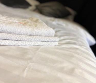 Zalissya Apartment | Апартаменти затишні в центрі Чорткова