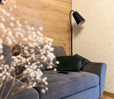 Zalissya Apartment | Апартаменти затишні в центрі Чорткова