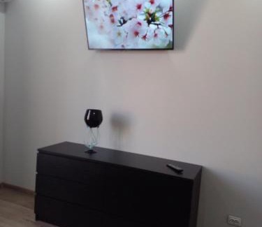 Chernovtsy Apartment | Апартаменты в центре города