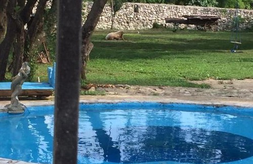 Abkhazia Apartment | Вилла Замок