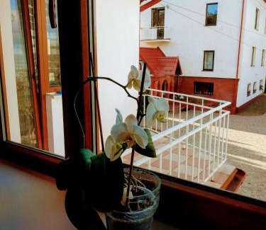 Morshin Apartment | Вілла ЕДЕЛЬВЕЙС