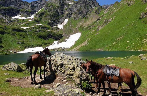 Gudauta Bed & Breakfast | Гостевой дом Дурипш