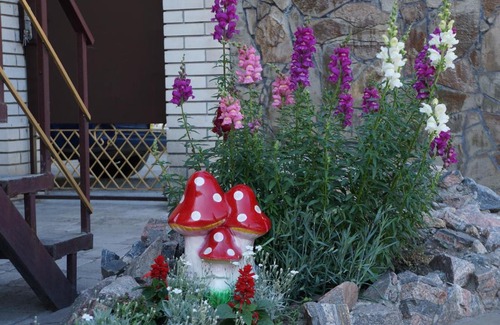 Berdyansk House | Гостевой дом Willa Rosa