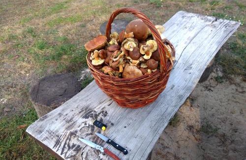 Khreshchatik House | Гостинний двір на хуторі Хрещатик