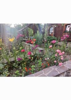 Vorokhta Cabin | ГОСТИННИЙ ДІМ ЛЕЛИЧ