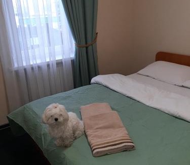 Sofiivska Borshchahivka Hotel | Готель "Опалковий Замок"