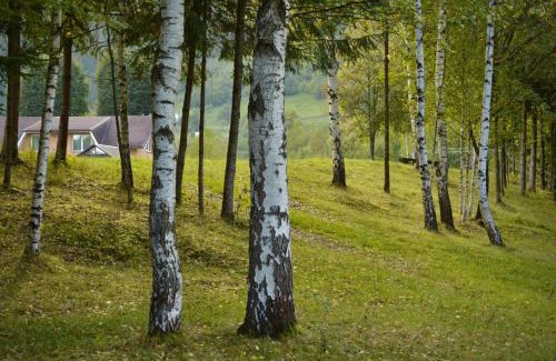 Snidavka House | Гражда Лофт для двох в Карпатах