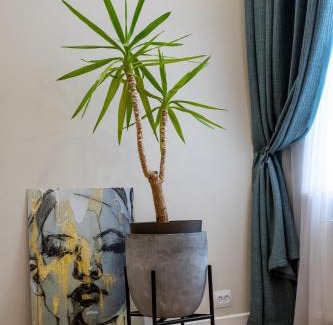 Mykolaiv Apartment | Двух комнатная квартира в центре