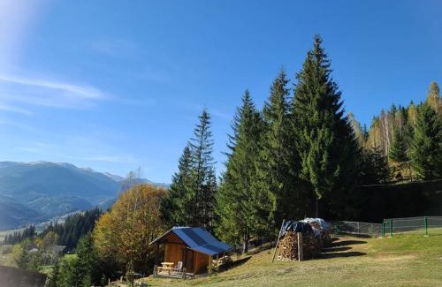 Snidavka House | Дзен Хата