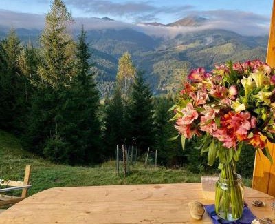 Snidavka House | Дзен Хата