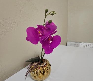 Lutsk Apartment | Дрім таун 2 кімнати,жд вокзал