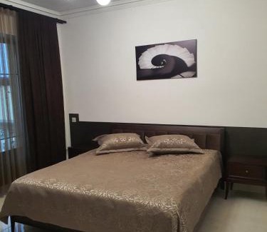 Ivano-Frankivsk Oblast Hotel | ЕДЕЛЬВЕЙС