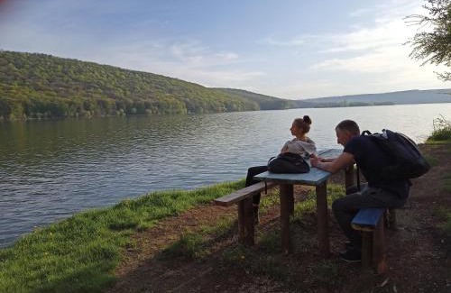 Khmelnytskyi Oblast House | Еко-садиба БАКОТА