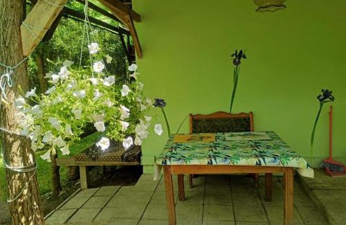 Khmelnytskyi Oblast House | Еко-садиба БАКОТА