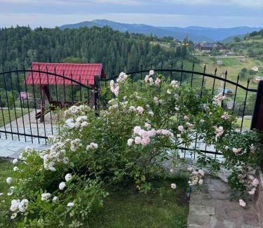 Yaremche Villa | Карпатский Рай