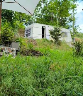 Kiev Oblast Other | Кемпінг Під Горіхом