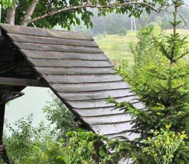 Kiev Oblast Other | Кемпінг Під Горіхом