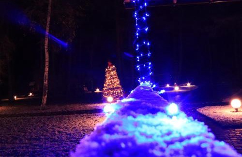 Velikiy Les House | Клёвое место