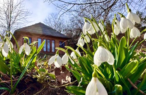 Stepanki House | Козацька Фортеця