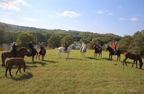 Stepanki House | Козацька Фортеця