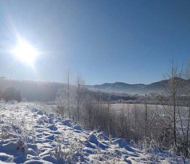 Lviv Oblast Ski Chalet | Котедж Загора