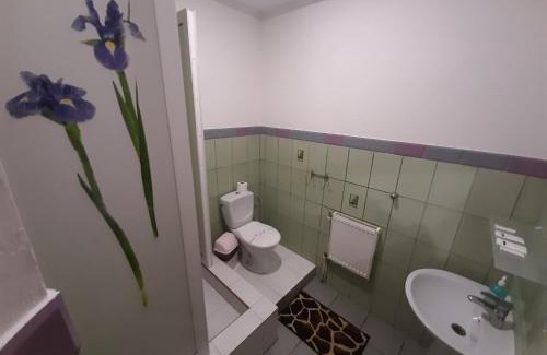 Ivano-Frankivsk Oblast Hotel | Лагуна