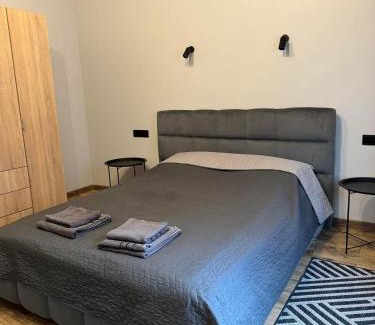 Kosuv Stary Apartment | Нові Loft Апартаменти 5 (центр-залізничний вокзал)