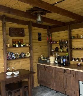 Vyzhnytsya House | Перлина Буковини