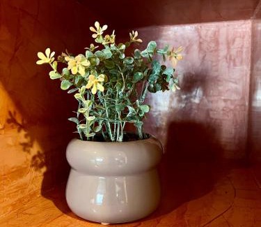 Ternopil Apartment | Подобово квартира Тернопіль Бам 2 кімнати