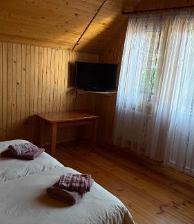 Skhidnytsya Hotel | Під Лісом Pid Lisom