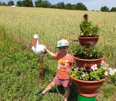 Salikha Cabin | Садиба "Банька біля джерела"