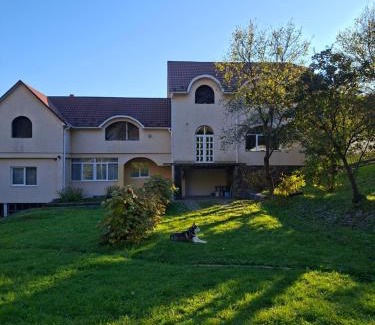 Perechin Villa | Садиба в Бабаєво