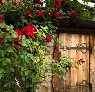 Vyzhnytsya House | Садиба Гардига