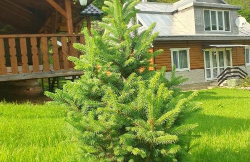 Snidavka House | Садиба Грицюка