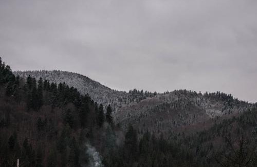 Tatariv House | Садиба "Донечки"