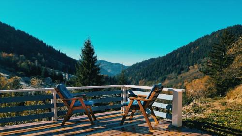 Snidavka Cabin | Садиба "Ековид"