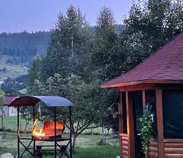 Verkhovyna Apartment | Садиба Карпат